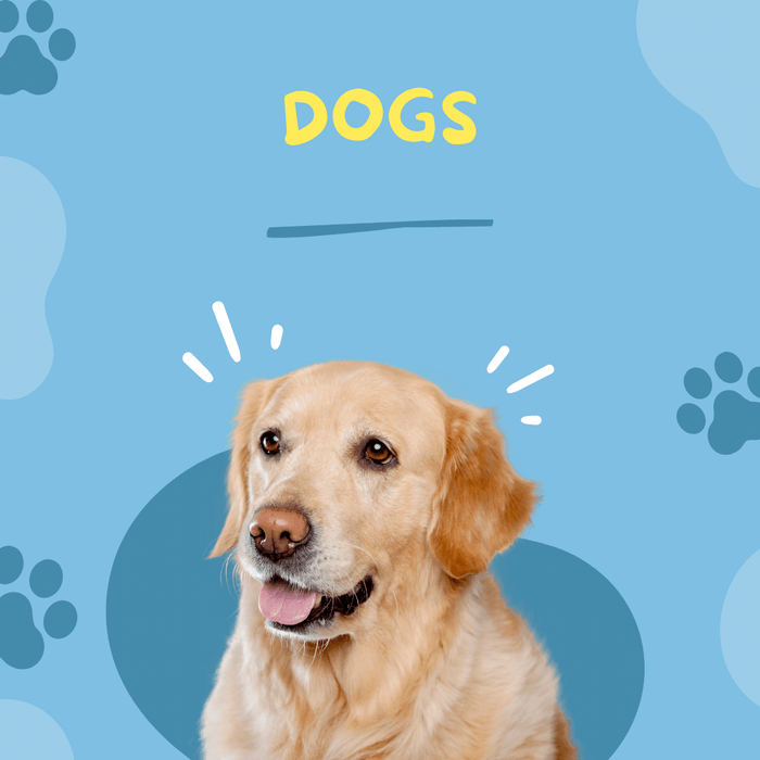 Dogs - fydaskepas