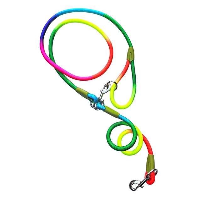 Reflective Nylon Dog Leashes - fydaskepas