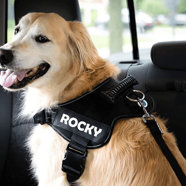 Adjustable Dog Safety Seat Belt - fydaskepas