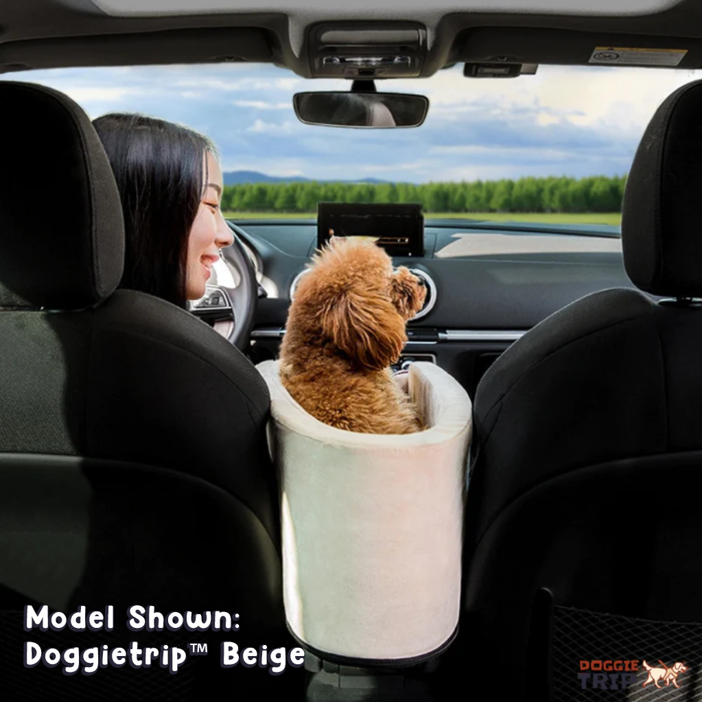 Safety Car Seat For Small Pets - fydaskepas