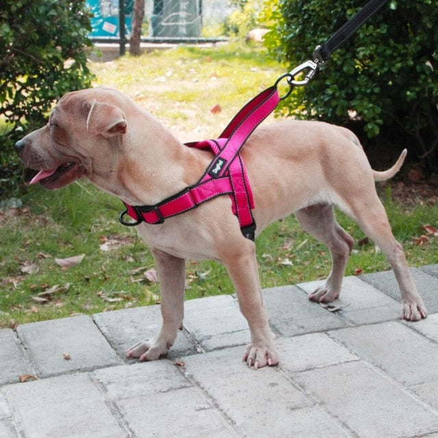 Adjustable Dog Harness - fydaskepas