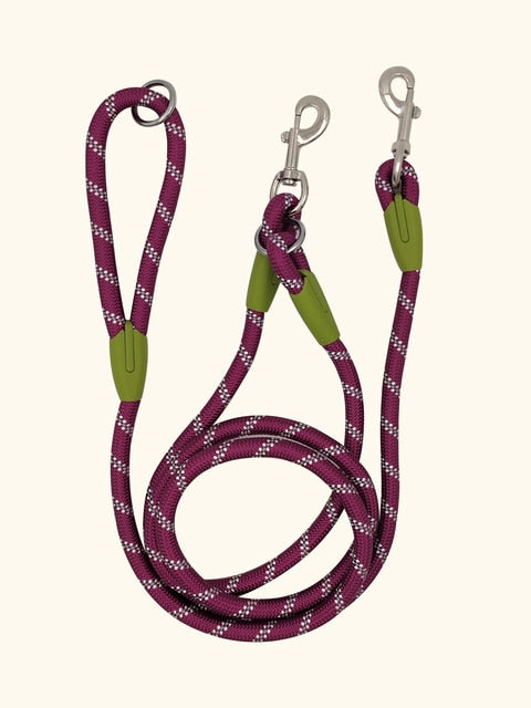 Reflective Nylon Dog Leashes - fydaskepas