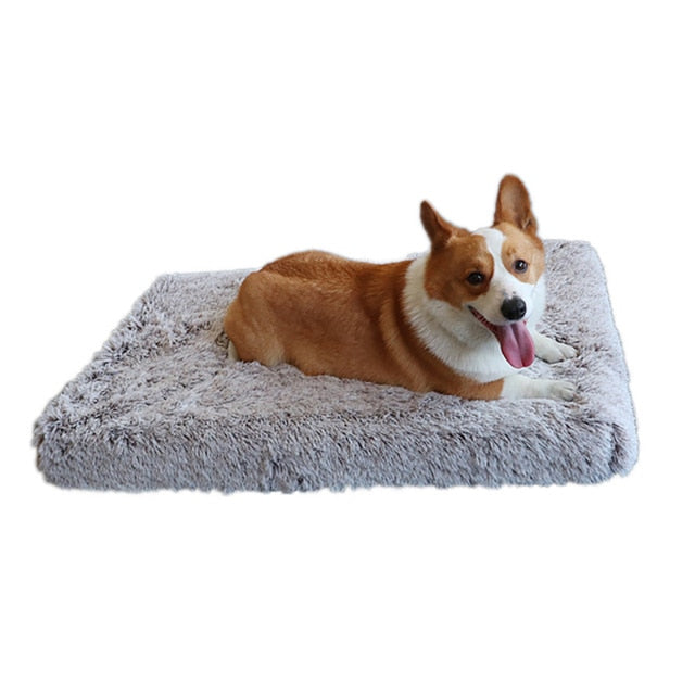 Plush Washable Pets Bed - fydaskepas