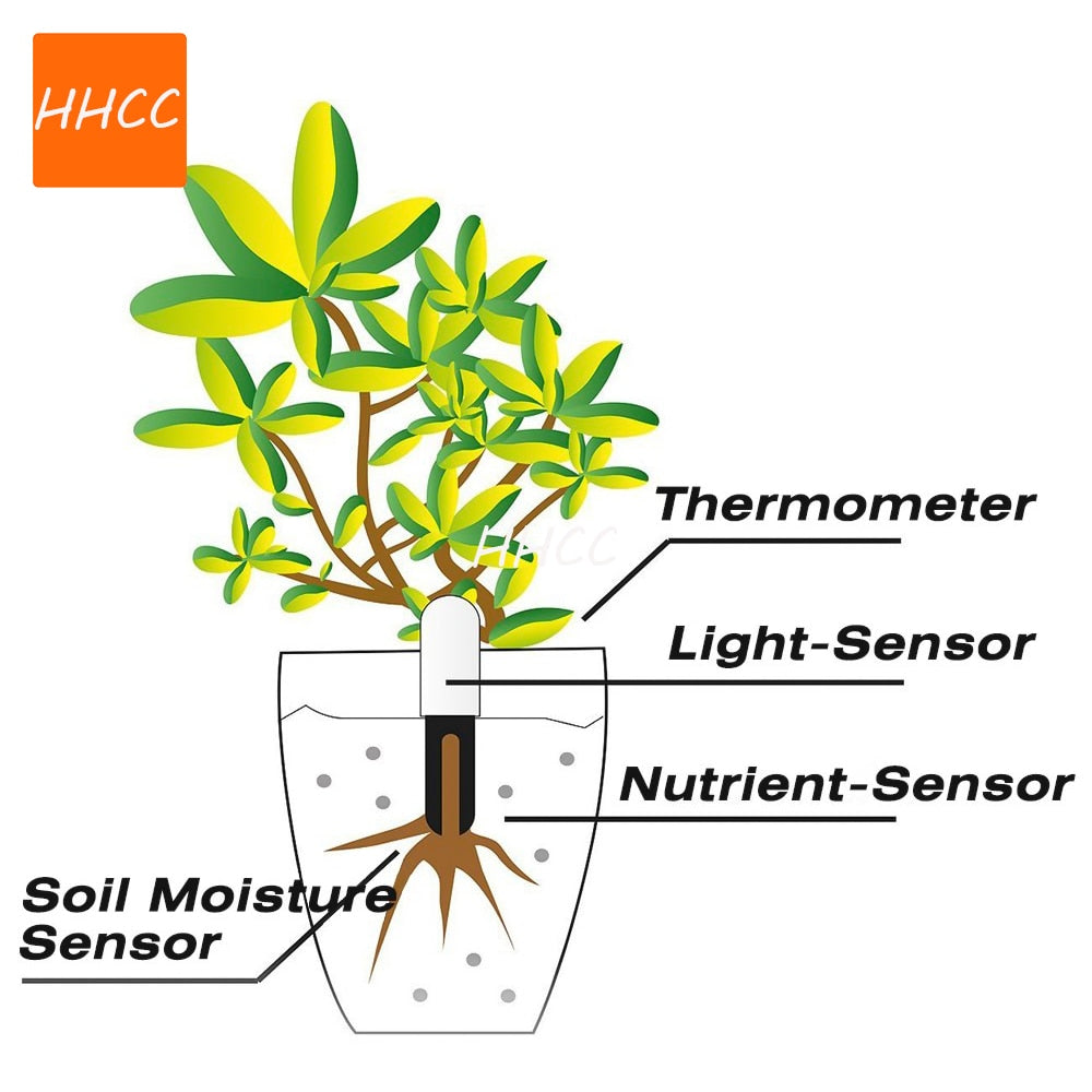 Flora Monitor Garden Care - fydaskepas