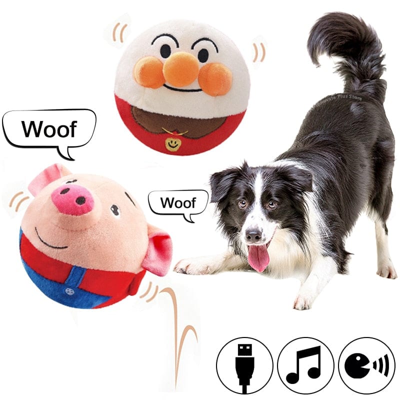 PetPalz: Interactive Talking Ball for Pets - fydaskepas