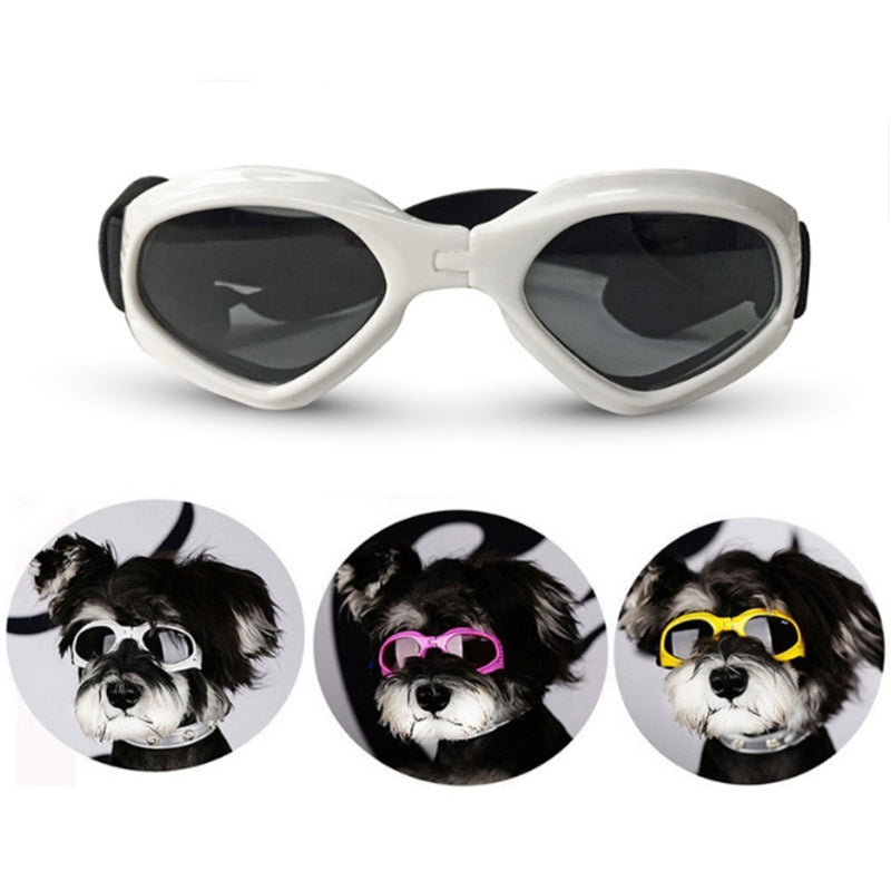 Dog Sunglasses - fydaskepas