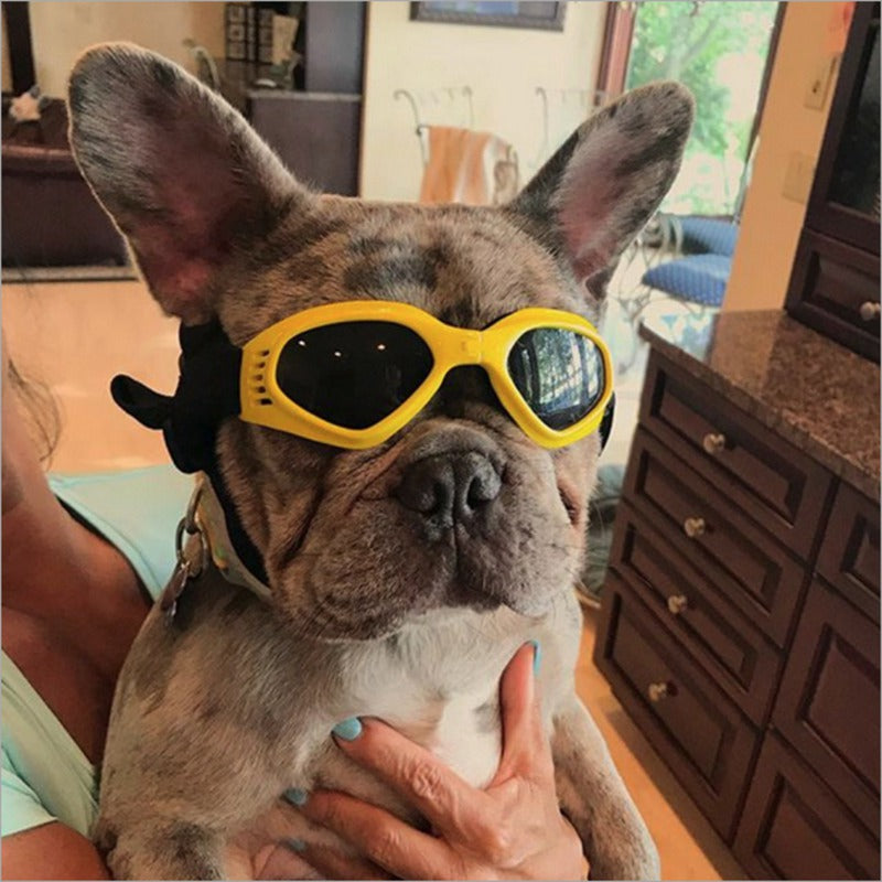 Dog Sunglasses - fydaskepas