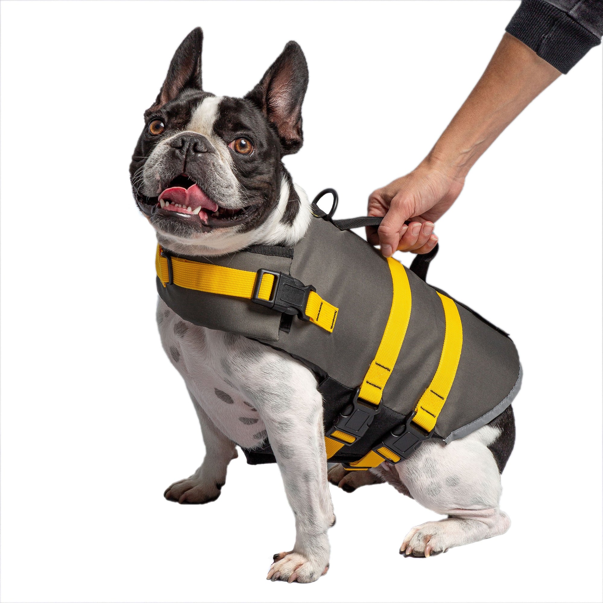 Army Dog Vest - fydaskepas