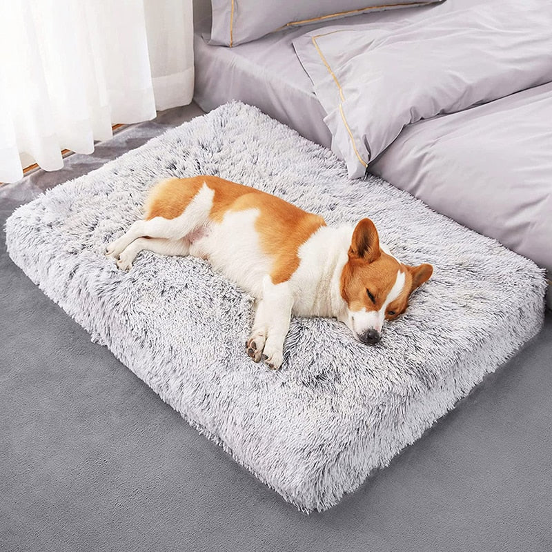 Plush Washable Pets Bed - fydaskepas