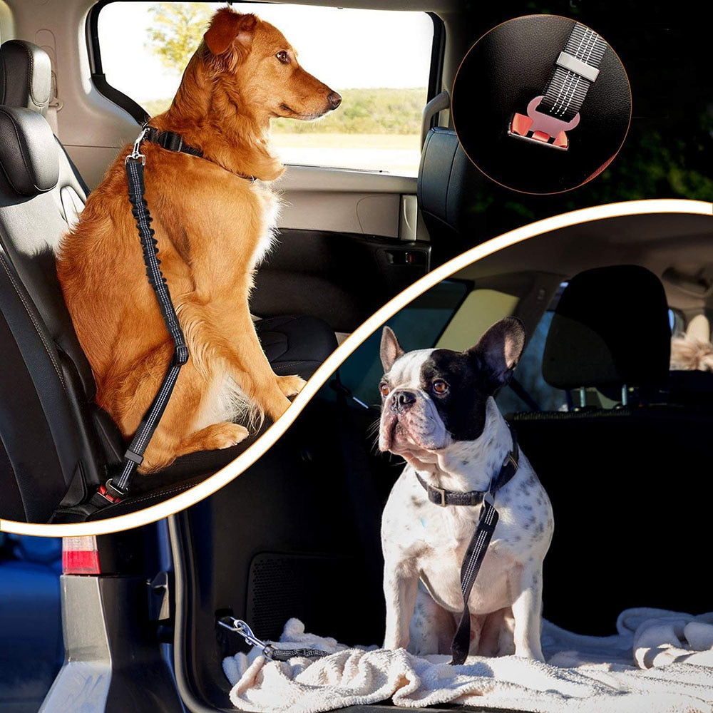 Adjustable Dog Seat Belt - fydaskepas