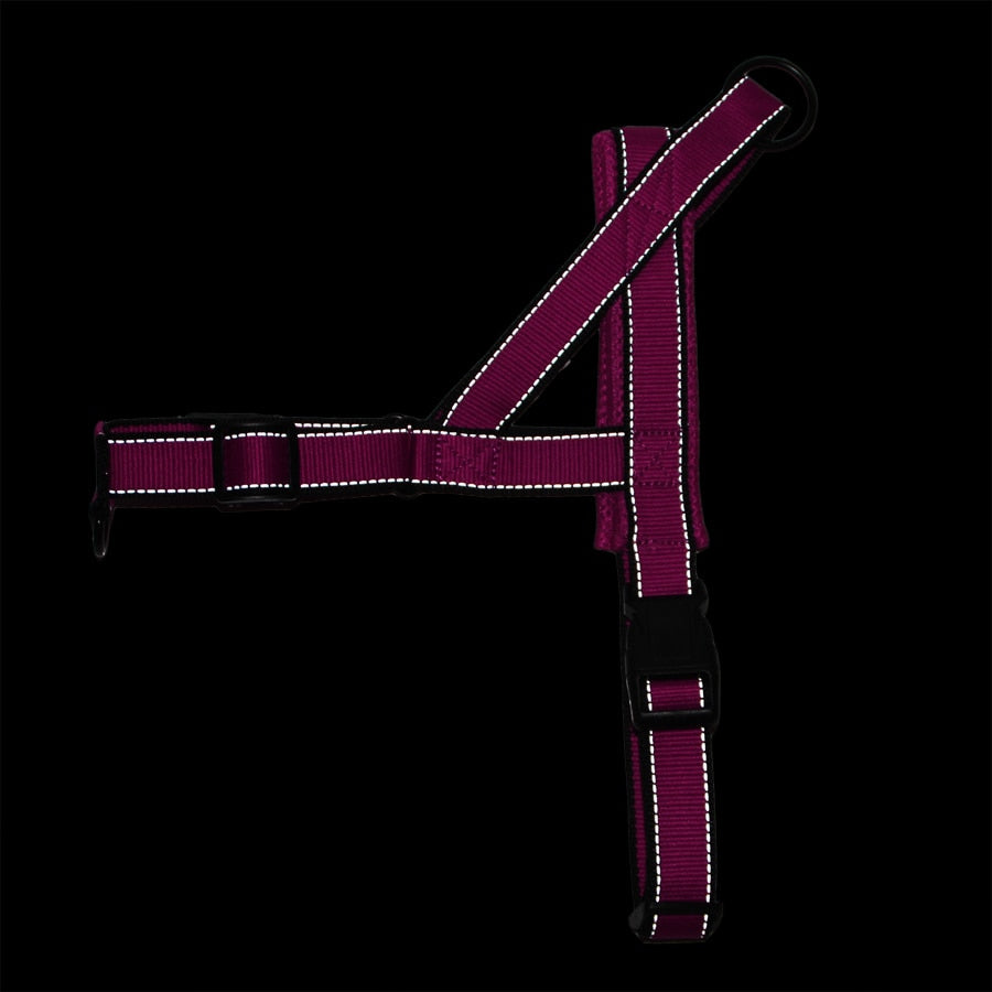 Adjustable Dog Harness - fydaskepas