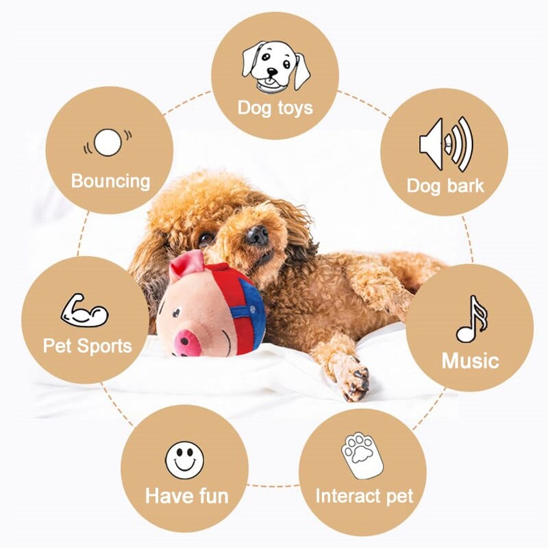 PetPalz: Interactive Talking Ball for Pets - fydaskepas