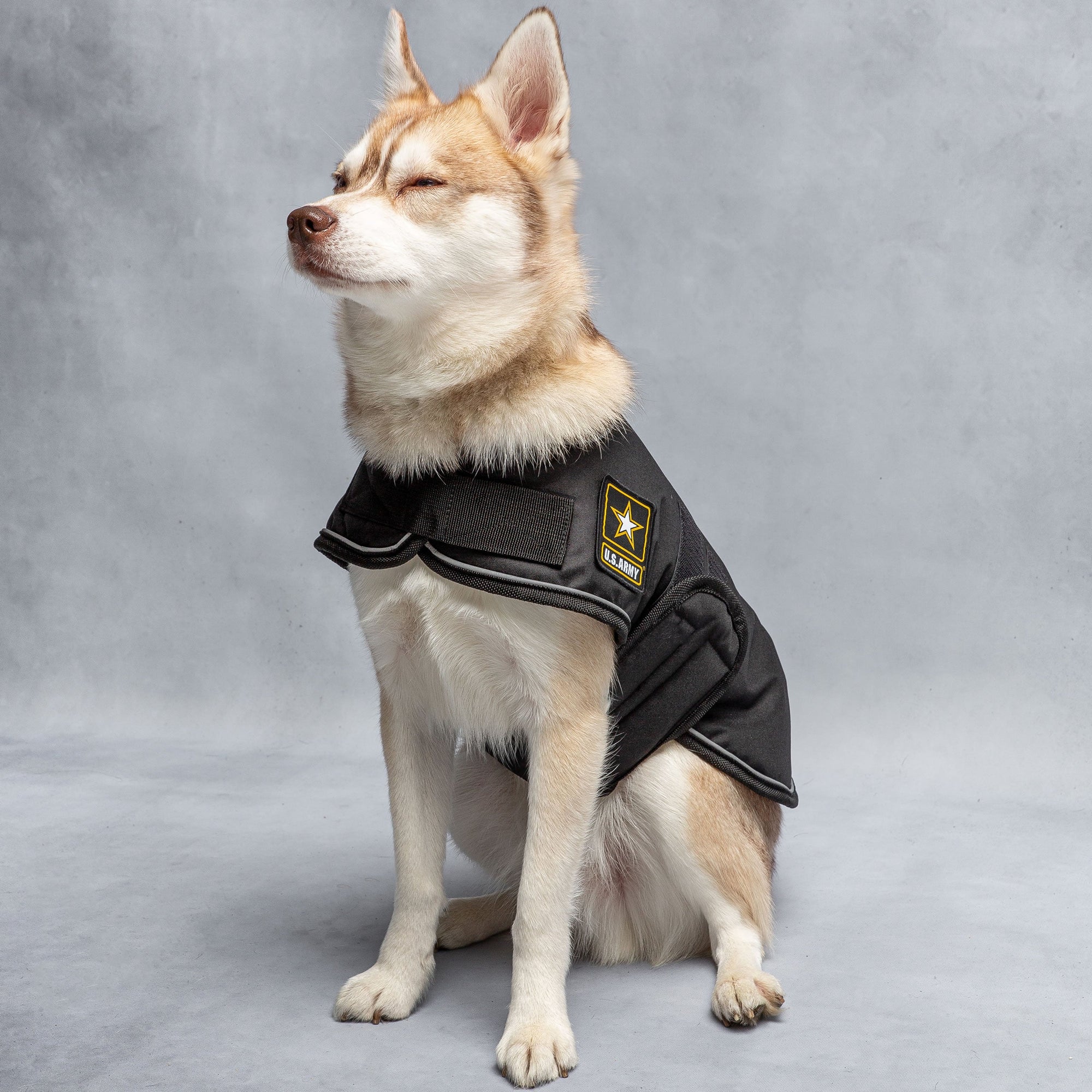 Army Dog Blanket Jacket - fydaskepas