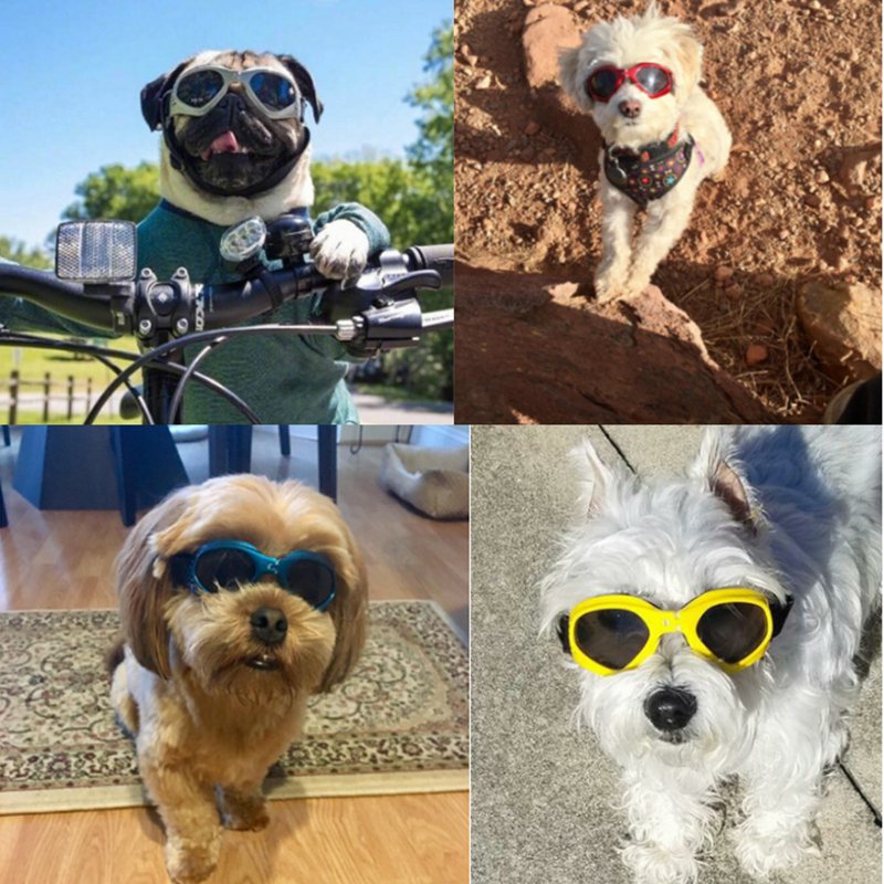 Dog Sunglasses - fydaskepas