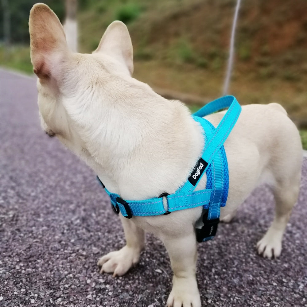 Adjustable Dog Harness - fydaskepas