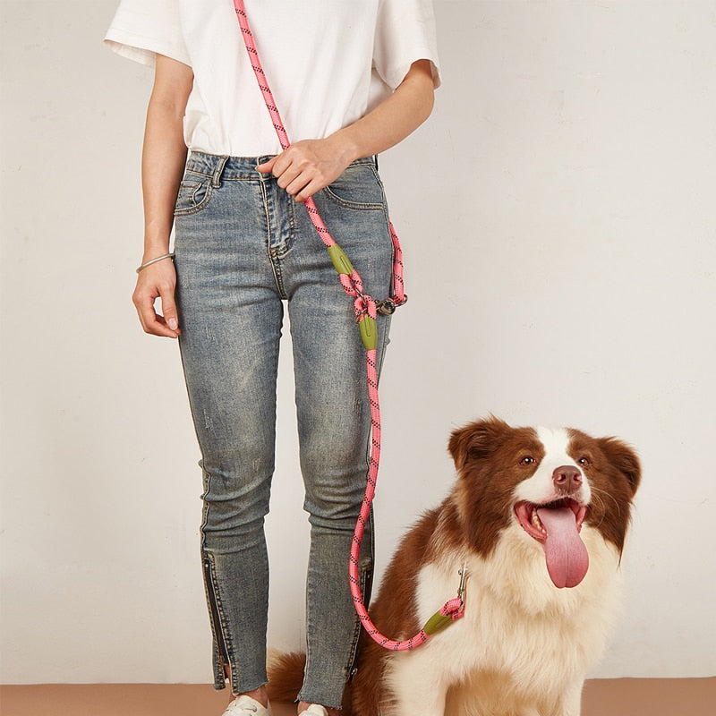 Reflective Nylon Dog Leashes - fydaskepas